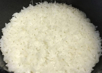 ≪令和8年産先行予約≫ ハツシモ 精米 10kg｜精米