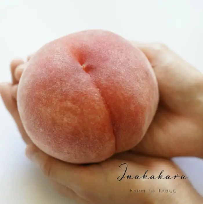 【2026年発送★先行予約】【笛吹市産】】Inakakara 一宮町の桃 ファーストクラス 6玉(約2.4kg) 192-010