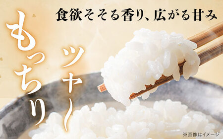【令和7年度産】福井県産 こしひかり 白米 10kg / 米 白米 精米 小浜市 / お米のきたろう [BFBW001] 