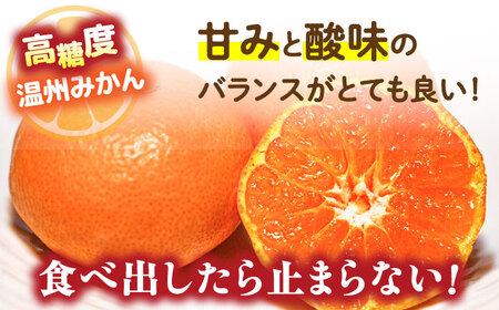 【2026年12月-発送】【大満足！ 2回 定期便 】温州みかん 約5kg / みかん 定期便 ミカン 蜜柑 長崎県産みかん 糖度 果物 くだもの 果物定期便 フルーツ ふるーつ フルーツ定期便 旬 家庭用 5kg / 南島原市 / 南島原果物屋 [SCV017]