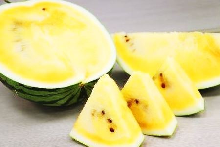 【期間限定】 金色 羅皇 (黄色) 【幻の ゴールデンスイカ】 2玉 [米吉農園 石川県 志賀町 BA4120]