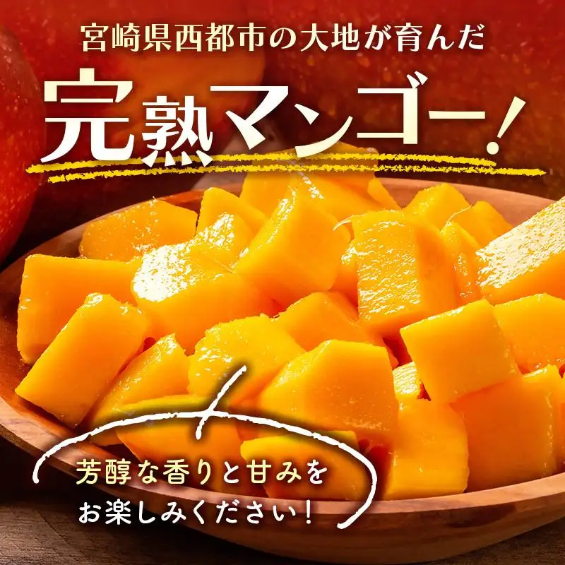 【先行予約】訳あり「ご家庭用」宮崎県西都市産完熟マンゴー2kg ＜18-11a＞2026年発送