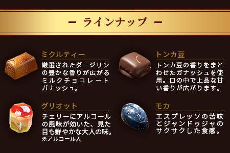 【匠の技】菓子工房 ひのでや てづくり ショコラ 25個 詰め合わせセット【シェフのこだわりと技術が詰まったチョコレート】 D-175
