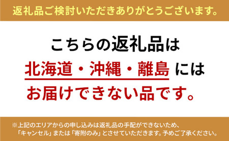 2026年産 実がぎっしり大きい 新鮮 朝どれ とうもろこし 先行予約 森のおおきみ 6本 セット 詰め合わせ 野菜 JGAP認証 しずおか認証取得農場  先行 予約 2026 2026年 新鮮野菜 静岡 静岡県 森町
