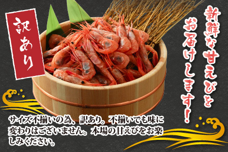 【特別企画】【訳あり】三国港から産地直送！「三国港甘えび」 500g + 100g 合計約600g ～本場の濃厚な甘海老を是非ご賞味ください！～ 【わけあり ワケアリ 濃厚 甘い 刺身 生食可 生 冷凍 有頭 新鮮 魚介類 国産 県産】 [A-6233]
