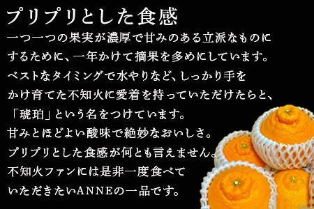 『先行予約』【令和9年2月中旬より順次発送】唐津産 不知火(琥珀) 約5kg(約16～20玉) デコポン でこぽん ミカン みかん 柑橘 フルーツ 果物