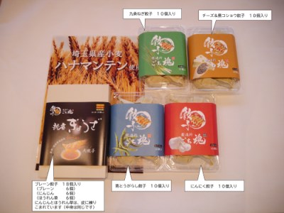 【ごち魂】の特製「新座ぎょうざ」バラエティセット（５種類　５８個入り） 【５月~１１月発送】