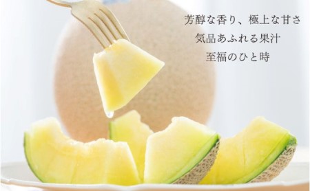 クラウンメロン【並（白等級）】1玉（1.3kg前後）＋うなぎ蒲焼（120g×3尾）セット マスクメロン 上品な甘み とろける 柔らかい 王冠シール 浜名湖うな ぎ良質なうなぎ 旨味 ふっくら 