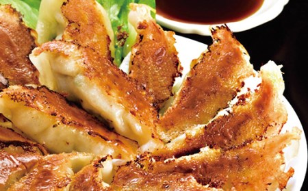 鹿児島黒豚生餃子4種詰合せセット 合計144個！食べ比べ 小分け（4種×12個×3P）【00-008-10】