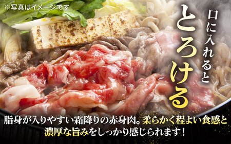 【全6回定期便】特撰 壱岐牛 肩ロース 500g（すき焼き・しゃぶしゃぶ）《壱岐市》【太陽商事】[JDL050] 肉 牛肉 肩ロース 薄切り すき焼き しゃぶしゃぶ 192000 192000円