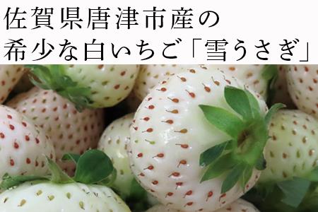 『先行予約』【令和9年2月中旬発送】唐津産 白いちご「雪うさぎ 」苺 イチゴ 希少 果物 フルーツ 脇山農園