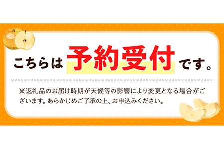 【2026年先行予約】 梨 旬の梨 約 3kg 藤末果樹園 熊本県荒尾市産 期間限定 《7月中旬-10月上旬頃出荷》フルーツ 果物 荒尾梨 はつまる 幸水 愛甘水 りんか ほしあかり 豊水 秋麗 かおり あきづき 新高 甘太 にっこり から旬の品種を厳選してお届け 品種はえらべません 美味しい梨 旬の梨 ジューシー梨 フルーツ梨