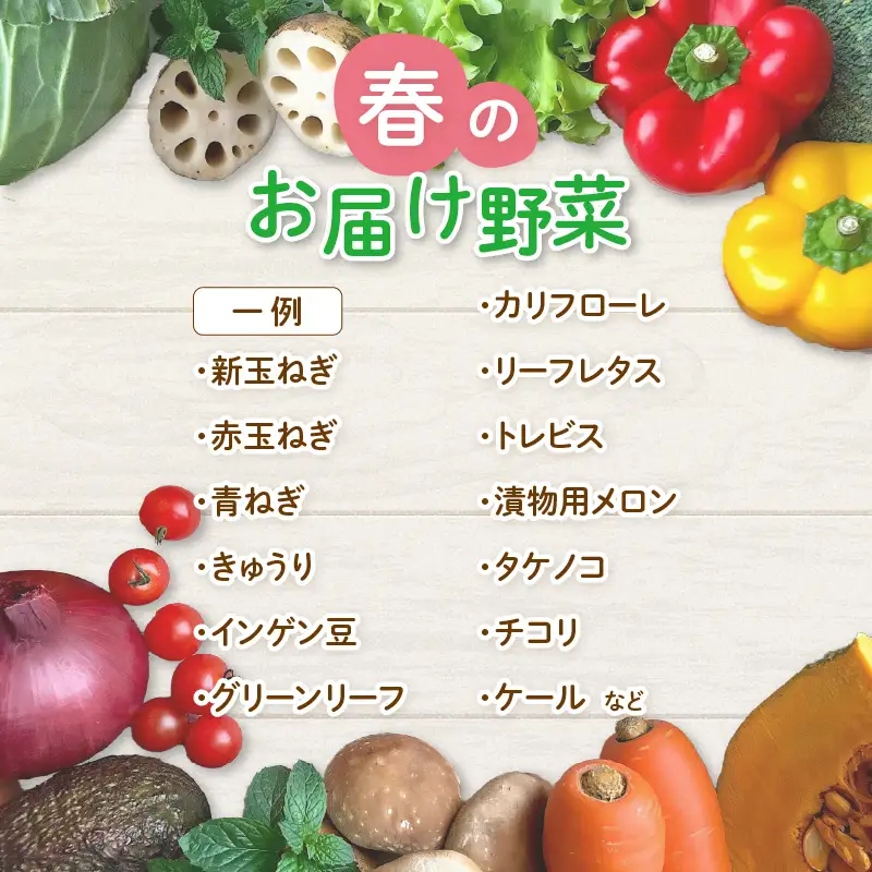 【先行予約】農家直送 春野菜セット 1箱 7品目以上 《元気に育った新鮮野菜！》／ 季節 春 野菜 ボックス BOX セット セレクト 農家 おまかせ 多品目 旬 詰め合わせ  ※2027年4月下旬以降発送 [aw028-a008]