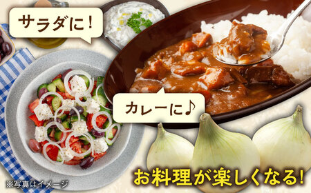 【ふるさと納税】JAS認定 有機栽培 新玉ねぎ 8kg【百笑会】 [DA04]