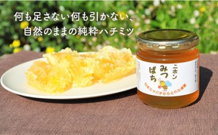 日本蜜蜂の純粋はちみつ 5個セット [MD02] 