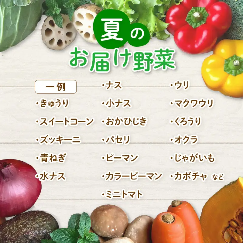 【先行予約】農家直送 夏野菜セット 1箱 7品目以上 《元気に育った新鮮野菜！》／ 季節 夏 野菜 ボックス BOX セット セレクト 農家 おまかせ 多品目 旬 詰め合わせ ※2026年7月中旬以降発送 [aw028-a009]