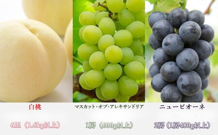 桃 ぶどう 梨 定期便 2026年 先行予約 晴れの国 岡山 の フルーツ 定期便 6回コース もも 葡萄 なし 岡山県産 国産 セット ギフト 白桃 アレキサンドリア ニューピオーネ シャインマスカット あたご梨 