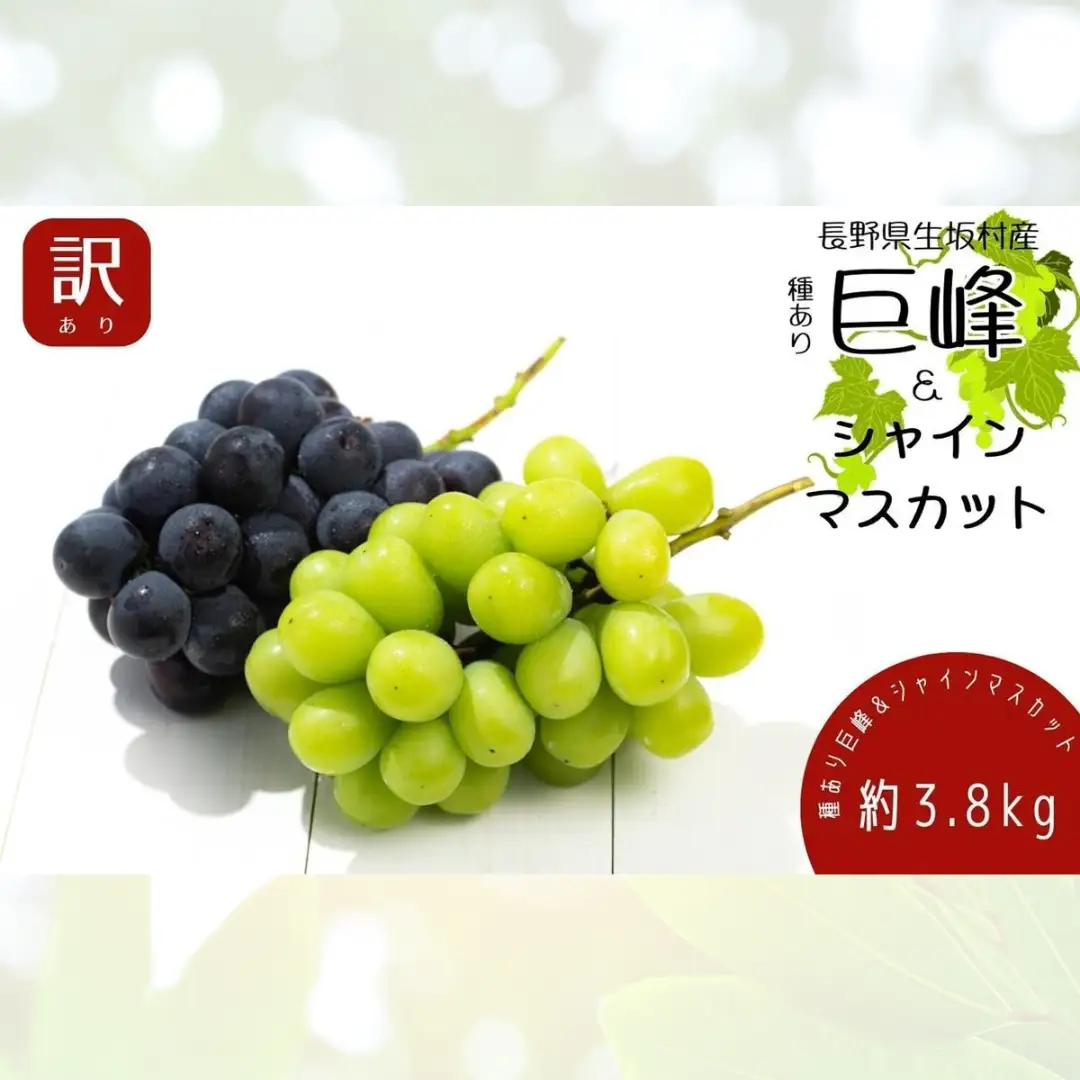 【2026年先行予約】 訳あり巨峰 シャインマスカット 約3.8kg (9~13房) 株式会社野の香 | 訳あり巨峰