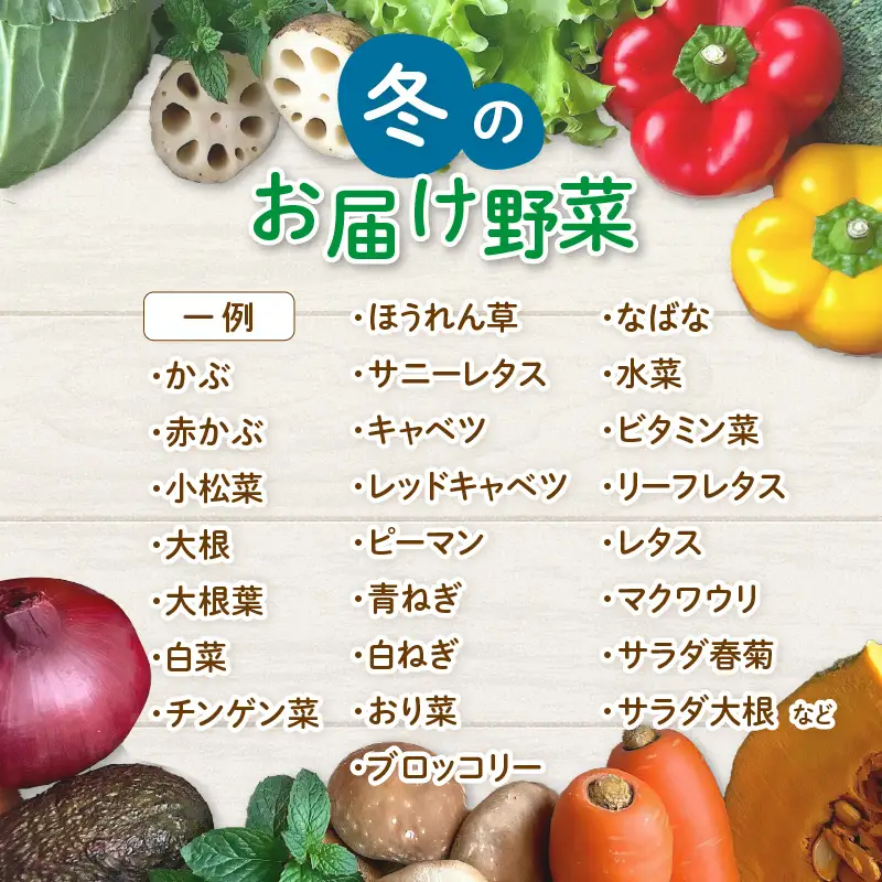 【先行予約】農家直送 冬野菜セット 1箱 7品目以上 《元気に育った新鮮野菜！》／ 季節 冬 野菜 ボックス BOX セット セレクト 農家 おまかせ 多品目 旬 詰め合わせ ※2026年12月上旬以降発送 [aw028-a011]