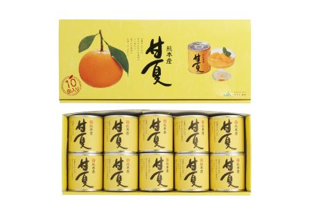 B45-13 甘夏缶詰（10缶入）