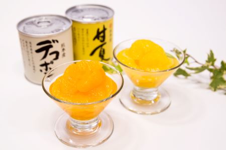 B10-13 デコポン・甘夏缶詰セット（10缶入）