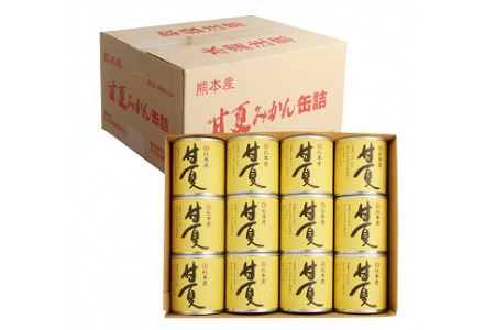 B46-26 甘夏缶詰（24缶入）