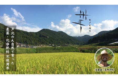 B136-31 米手(こめて)　ヒノヒカリ白米５kg　【農薬・化学肥料不使用米】【令和７年産】