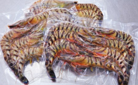 種子島 産 車えび 3L サイズ 冷凍 車海老 (250g×3袋) 計750g　NFN427 【500pt】 