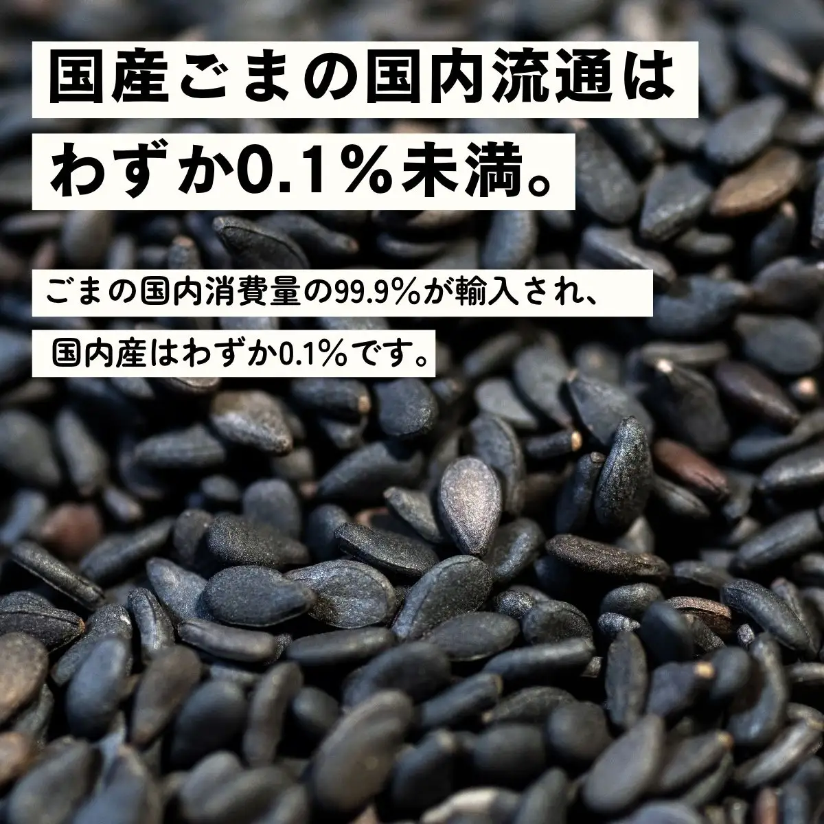 国産胡麻 黒丹波 いりごま・すりごま 各35g×2袋 〈丹波市産〉 胡麻 調味料