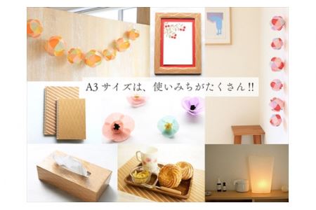 A3ロールセット 10本セット 約420×297mm 全48枚 〈まとめ買い〉 ロール紙 クラフト