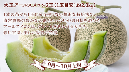 【 全4回 定期便 】 数量限定 贅沢 フルーツ 満喫コース メロン いちご フルーツトマト スイカ 【 2026年9月上旬から発送開始 】 [BC057sa]