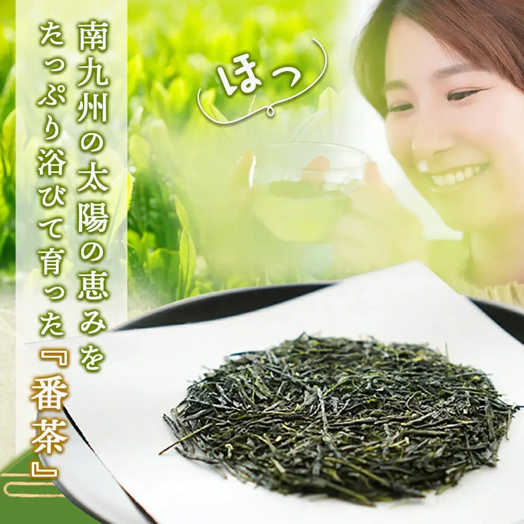 どどーんと緑茶詰合せセット 600g(200g×3袋)≪みやこんじょ快速便≫〔LE-C301-R〕_(都城市) 茶の葉 番茶 緑茶 斉光園