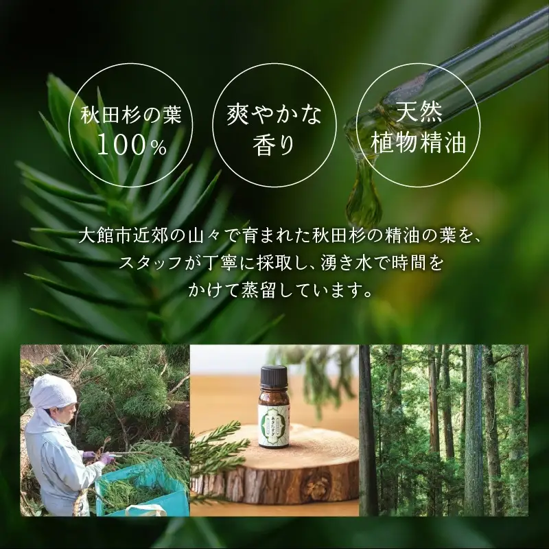 秋田杉の精油　65P7011