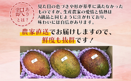 ＜先行予約＞【生産者応援】訳あり！糖度13度以上！平均15度！ご家庭用 宮崎完熟マンゴー1.5～1.7 kg（2Lサイズ2玉入の約2倍！）_K005-019
