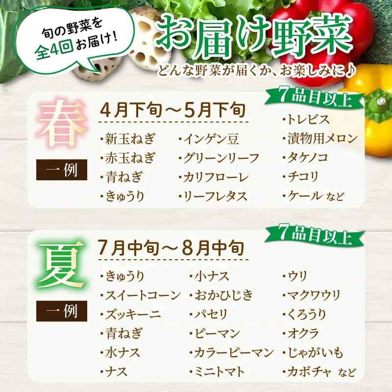＜定期便 4回＞ 新鮮野菜セット 1箱 7品目以上 【春 夏 秋 冬 発送】／ 季節 野菜 ボックス BOX セット セレクト 農家 おまかせ 多品目 旬 詰め合わせ 根菜 葉物  [aw028-b001]