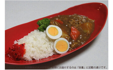 有田焼  赤釉ペア楕円皿 中 ARITA PORCELAIN LAB【アリタポーセリンラボ】オーバルボウル カレー皿 パスタ皿 モダン シンプル 赤 A45-330