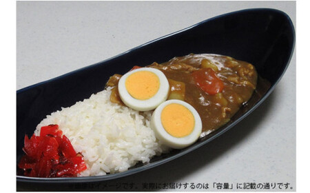 有田焼 墨ルリペア楕円皿 中 ARITA PORCELAIN LAB【アリタポーセリンラボ】オーバルボウル カレー皿 パスタ皿 モダン シンプル ネイビー A45-331