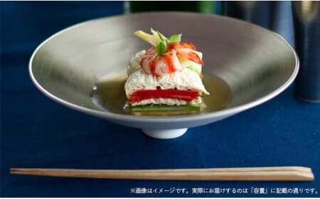 ARITA PORCELAIN LAB (アリタポーセリンラボ) プラチナ 盛鉢 有田焼 モダン スタイリッシュ A75-81