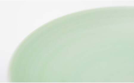 ARITA PORCELAIN LAB (アリタポーセリンラボ) パールグリーン パーティーセット 有田焼 取り皿 大皿 A180-25