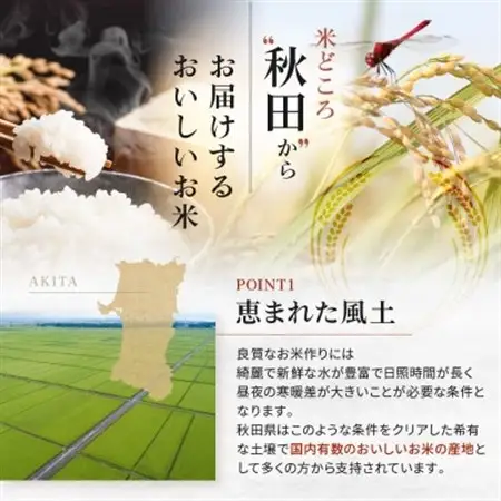 秋田県産あきたこまち20kg【令和7年産】【配送不可地域：離島・沖縄県】【1381407】
