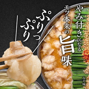 博多もつ鍋前田屋　味噌・醤油食べ比べセット（4～6人前）_KLM0605