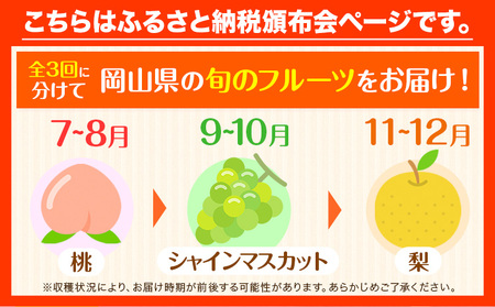 フルーツ定期便 3回 桃 シャインマスカット 梨