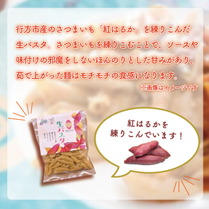 CJ-9 生パスタ （ペンネ10食分）＆トマトソース5袋