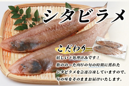 冷凍芝エビ（真エビ）1kg（500g×2パック）＆有明海産 シタビラメ約150g×2尾【有明海の恵】簡単調理 セット B-569