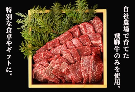 飛騨牛焼肉セット 600g（もも焼肉 300g・かた焼肉 300g）【22-27】