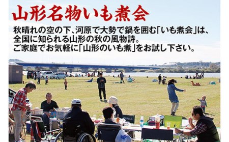 山形のいも煮 内陸味3袋と庄内味3袋 F2Y-3379