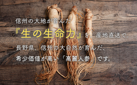生高麗人参 6年根 細 3本 高麗人参 生 六年生 健康食品 健康 疲労回復 血行 改善 食品 美容 特産 薬膳 高麗人参酒 人参 調理 長野 信州