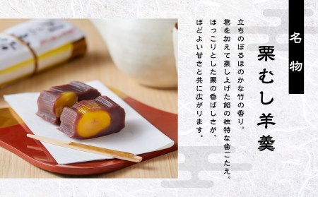 栗羊羹 栗むし羊羹 5本セット 月よみ山路 松葉屋