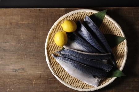 a28-012　5.0㎏以上！国内産 無添加 塩熟 さば フィレ