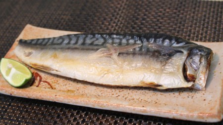 【３ヵ月定期便】 大トロさば文化干し 1枚真空 6パック （茨城県共通返礼品 神栖市）  [CU002sa]